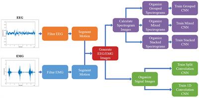 Evaluating Convolutional Neural Networks as a Method of EEG–EMG Fusion